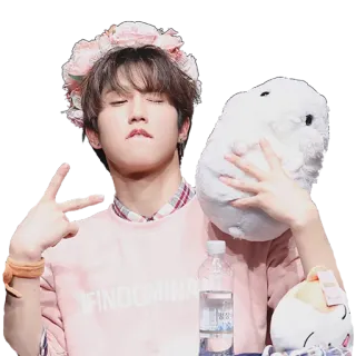 ✌️ persona, corona de flores, peluche, botella de agua, kpop whatsapp sticker
