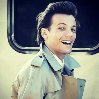 🌶 Louis Tomlinson Louis Tomlinson, chanteur, célébrité, portrait, One Direction telegram sticker