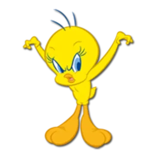 😒 Tweety Bird Kreskówka, Ptak, Żółty, Tweety, Warner Bros telegram sticker