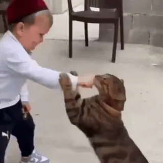 🎈 boy, cat, animal, friendship, pet, child telegram sticker