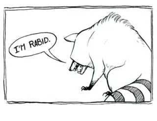 😡 I'M RABID. raccoon, rabid, animal, cartoon, drawing, humor telegram sticker