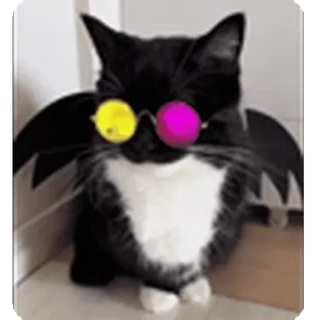 😎