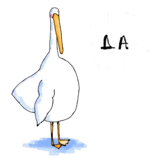 👍 펠리컨, 새, 흰색, 동물 telegram sticker