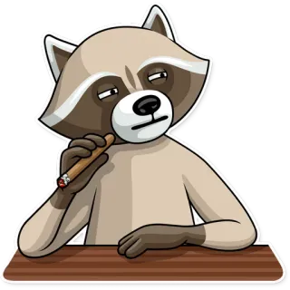 😑 szop pracz, cygaro, palenie, zwierzę, kreskówka, śmieszne, postać telegram sticker
