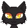 🐈‍⬛