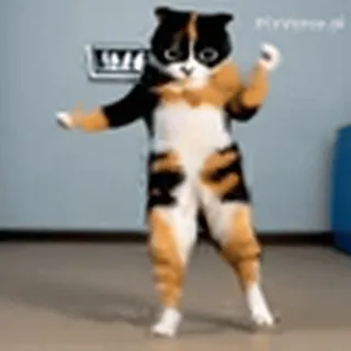 🤩
