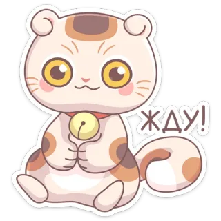 😑 ЖДУ! кот, милый, ожидание, животное, наклейка whatsapp sticker