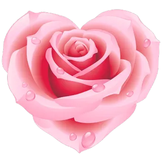 ❤ цветок, роза, сердце, розовый, любовь, романтика telegram sticker