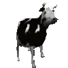 🐄