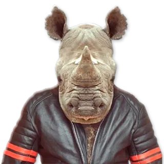 😠 rhinocéros, animal, autocollant, anthropomorphe, blouson en cuir, tête d'animal, costume telegram sticker