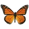 🦋