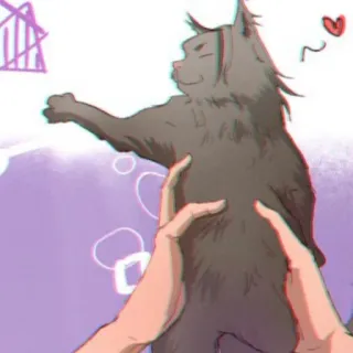 🐈 Katze, Haustier, Tier, süß, Hände, Haustier telegram sticker