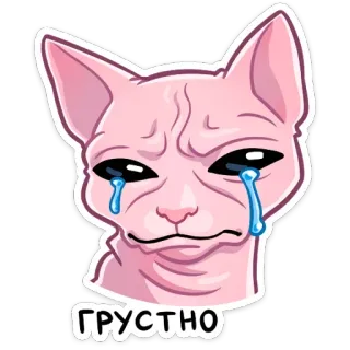 😭 ГРУСТНО Katze, traurig, weinend, Sphynx, Tränen, rosa telegram sticker