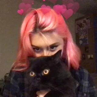 💗 woman, cat, pink hair, pet, hearts telegram sticker