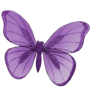 🦋 vlinder, insect, paars, vleugels, natuur, dier telegram sticker