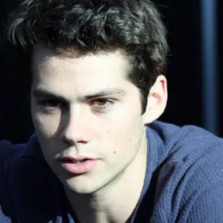 📎 Dylan O'Brien aktor, potret, selebriti, teen wolf telegram sticker