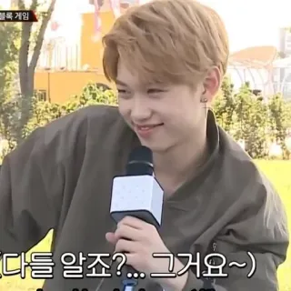 😏 다들 알죠?... 그거요~) kpop, felix, stray kids, koreanisch, lächeln telegram sticker