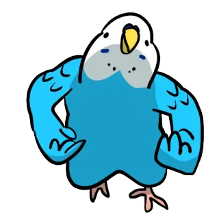 💪 burung, parkit, hewan peliharaan, biru, lucu, binatang, kawaii telegram sticker