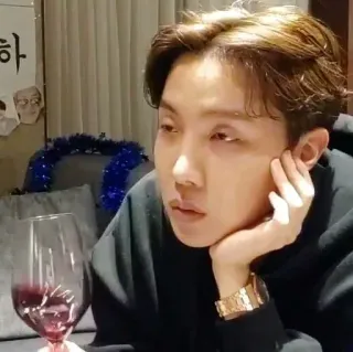 🍷 persona, hombre, vino, interior, retrato, expresión facial whatsapp sticker