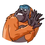 😨 Orangutan, Monyet, Binatang, Primata, Kartun whatsapp sticker