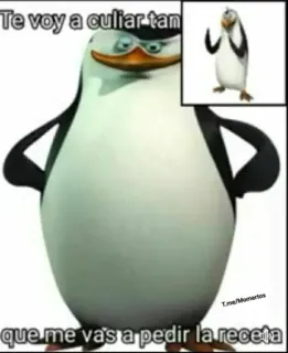 😏 Te voy a culiar tan que me vas a pedir la receta pingouin, offensant, mème, humour telegram sticker