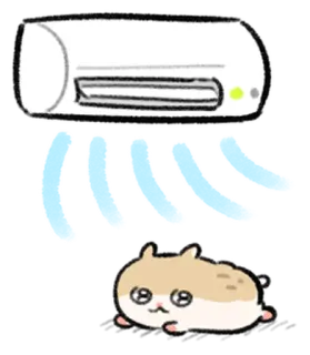 🐹 แฮมสเตอร์, น่ารัก, สัตว์, สัตว์เลี้ยง, เครื่องปรับอากาศ whatsapp sticker