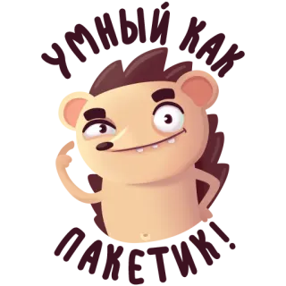 🧐 erizo, dibujos animados, animal, divertido, lindo telegram sticker