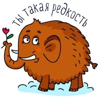 Zooпарк whatsapp stickers