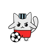 ⚽️ mèo, bóng đá, động vật, thể thao, hoạt hình, bóng, dễ thương telegram sticker