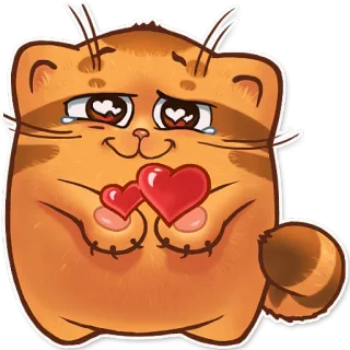 😍 cat, cute, heart, love, animal, orange whatsapp sticker