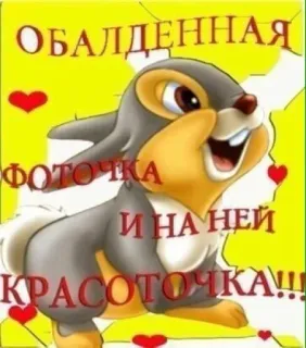 🍄 ОБАЛДЕННАЯ ФОТОЧКА И НА НЕЙ КРАСОТОЧКА!!! animal, rabbit, cute, hearts, cartoon telegram sticker