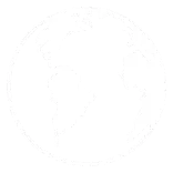🌎