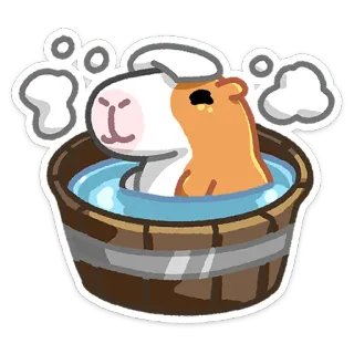 🛀 Meerschweinchen, Bad, niedlich, Tier, Cartoon, Haustier, Seife, Wasser whatsapp sticker