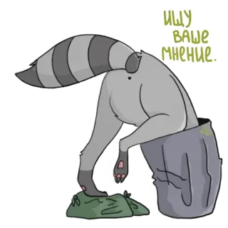 😠 Ищу ваше мнение. raton laveur, poubelle, dessin animé, animal whatsapp sticker