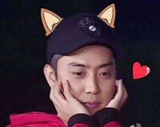 🐱 pessoa, homem, orelhas de gato, chapéu, coração, fofo telegram sticker