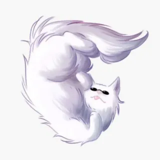 🐈 Katze, weiße Katze, Tier, Haustier, süß, flauschig, Sonnenbrille telegram sticker