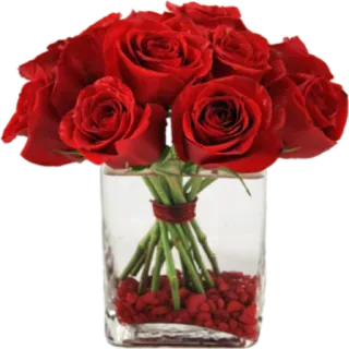 🌺 roses, flowers, red, bouquet, vase, romance, gift telegram sticker