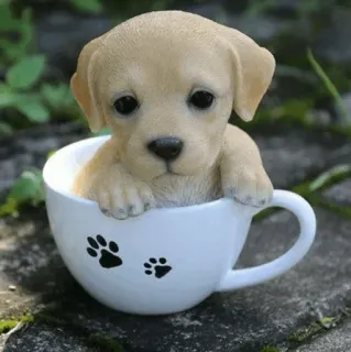 🏙 Hund, Welpe, Tasse, süß, Tier, Haustier whatsapp sticker