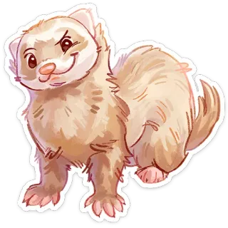 ⭐ furão, animal, fofo, adesivo, desenho animado telegram sticker