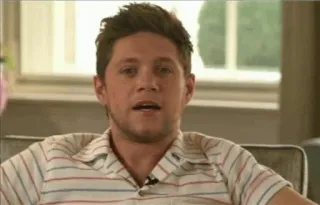 💫 Niall Horan 유명인, 가수, 원 디렉션, 나일 호란, 사람 telegram sticker