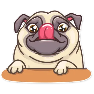 🤤 pug, cachorro, animal, animal de estimação, desenho animado, adesivo, fofo telegram sticker