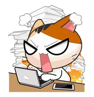 😡 mèo, máy tính xách tay, tức giận, văn phòng, bàn làm việc, công việc telegram sticker