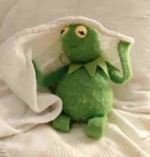 👀 Kermit kermit, the frog, muppets, puppet, cute, cozy, sleeping telegram sticker