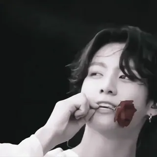 🌹 Jungkook Jungkook, BTS, K-pop, cantante, rosa telegram sticker
