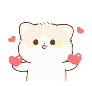 ❤️ кот, животное, милый, каваи, сердечки, любовь, очаровательный whatsapp sticker