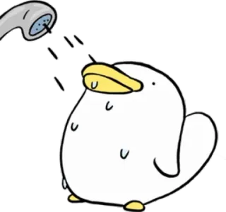 🚿 kaczka, prysznic, kreskówka, zwierzę, kąpiel, woda telegram sticker