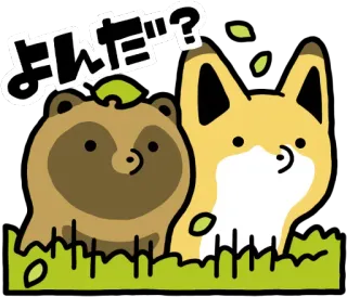 😶 よんだ? たぬき, キツネ, 動物, かわいい, カワイイ, 日本語, テキスト telegram sticker