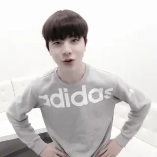 🐮 adidas vêtements, homme, pull, adidas, coréen telegram sticker