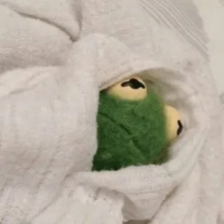 😔 Kermit Kermit la Grenouille, grenouille, marionnette, serviette, mignon, vert, Muppets telegram sticker