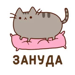 🕵 ЗАНУДА кот, подушка, милый, русский, сердитый, мультфильм, стикер whatsapp sticker